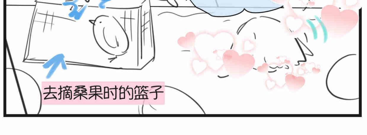 《第一次做妈妈》119.小鸡的爱情 第12页