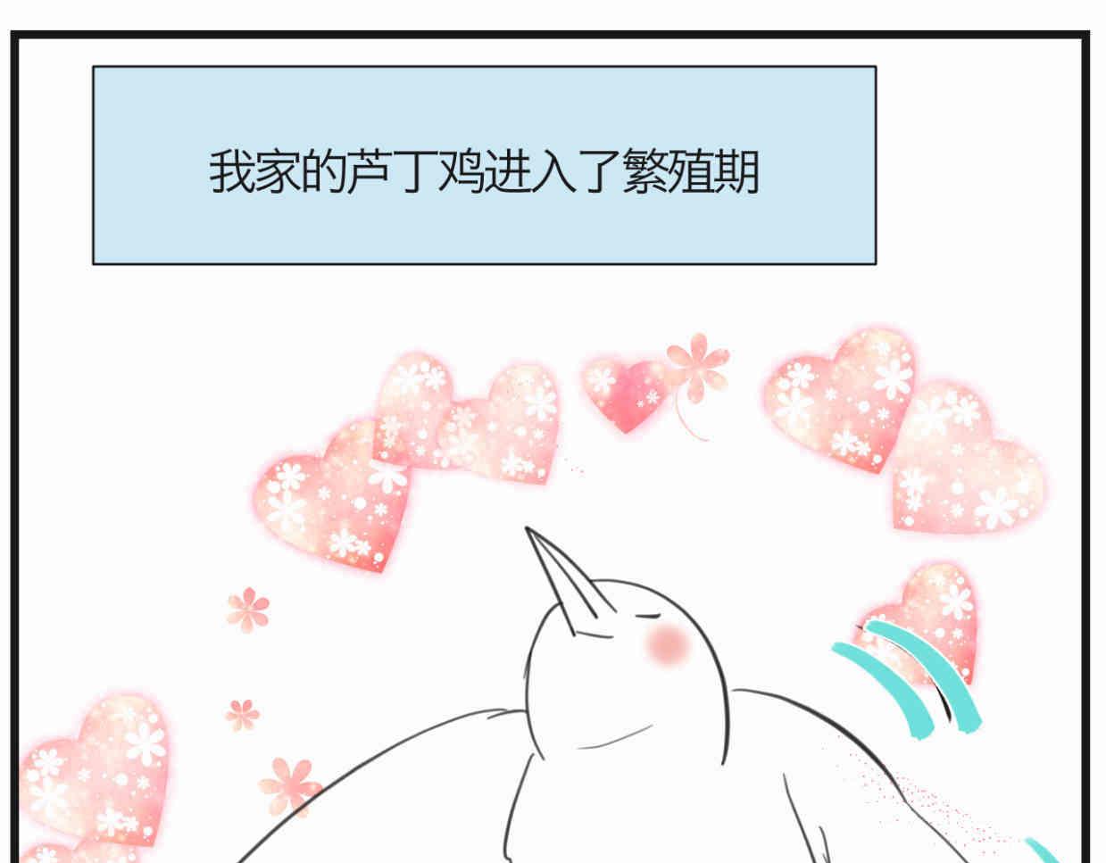 《第一次做妈妈》119.小鸡的爱情 第16页