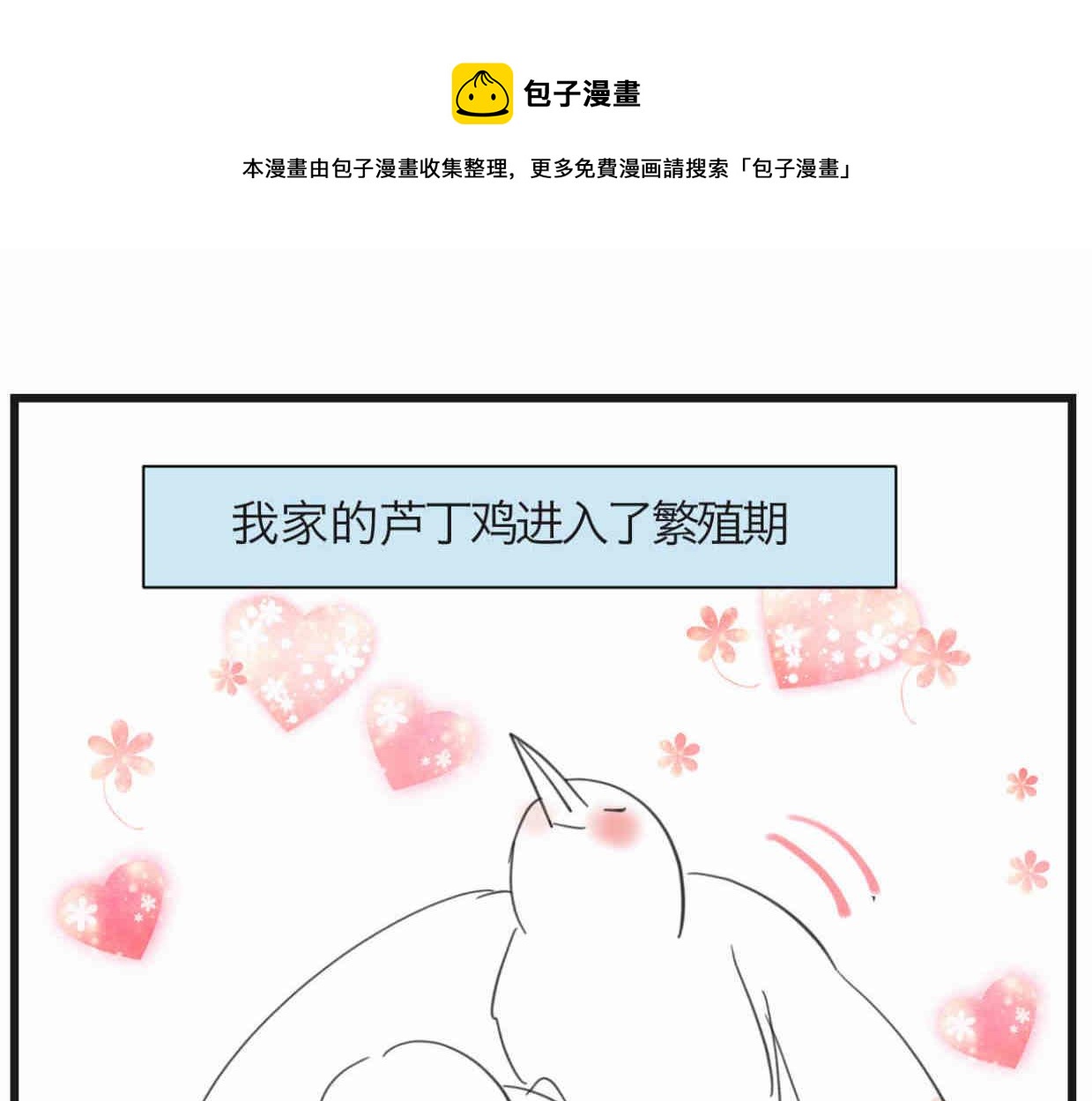 《第一次做妈妈》119.小鸡的爱情 第1页