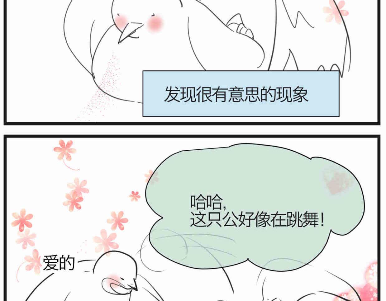 《第一次做妈妈》119.小鸡的爱情 第2页