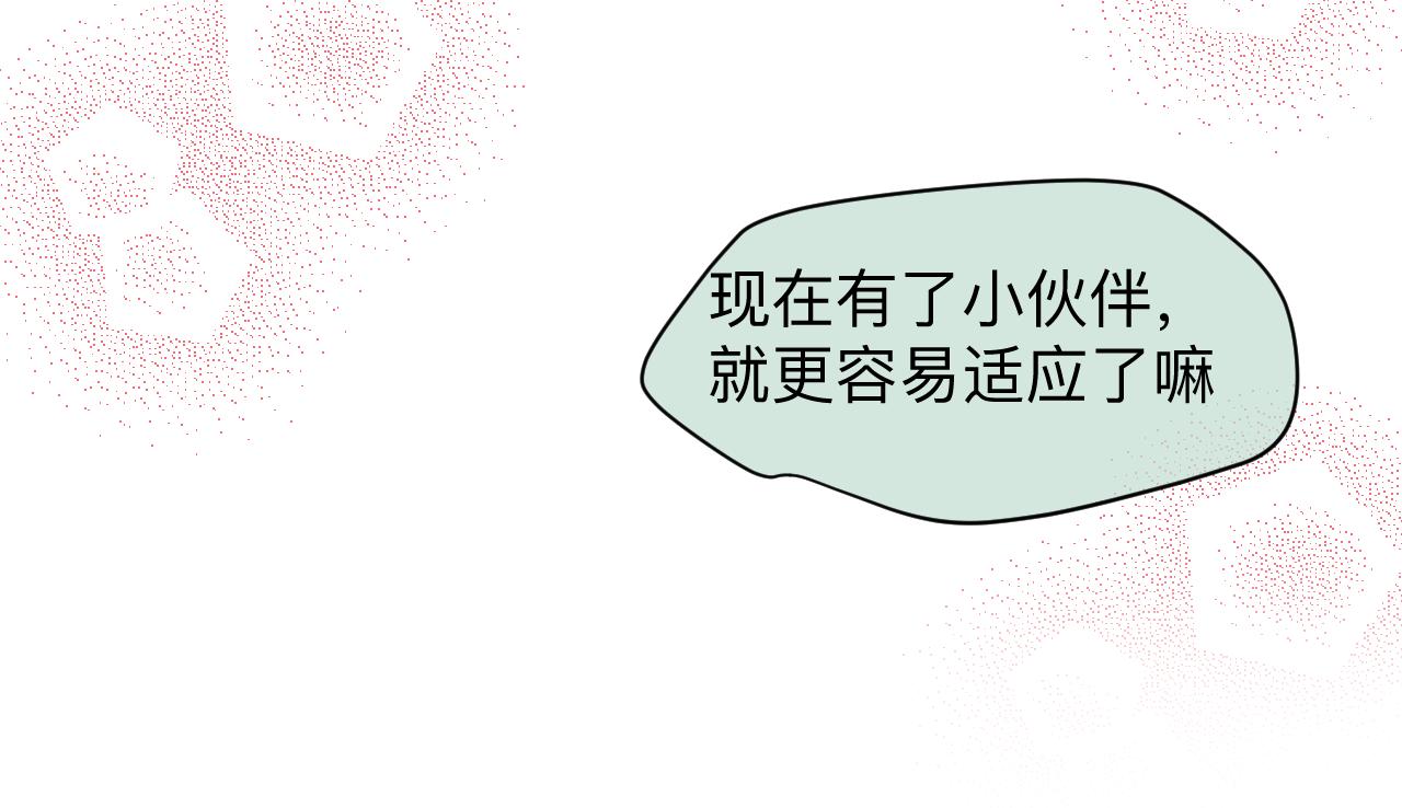 《第一次做妈妈》126.哥哥的足球夏令营3 第9页