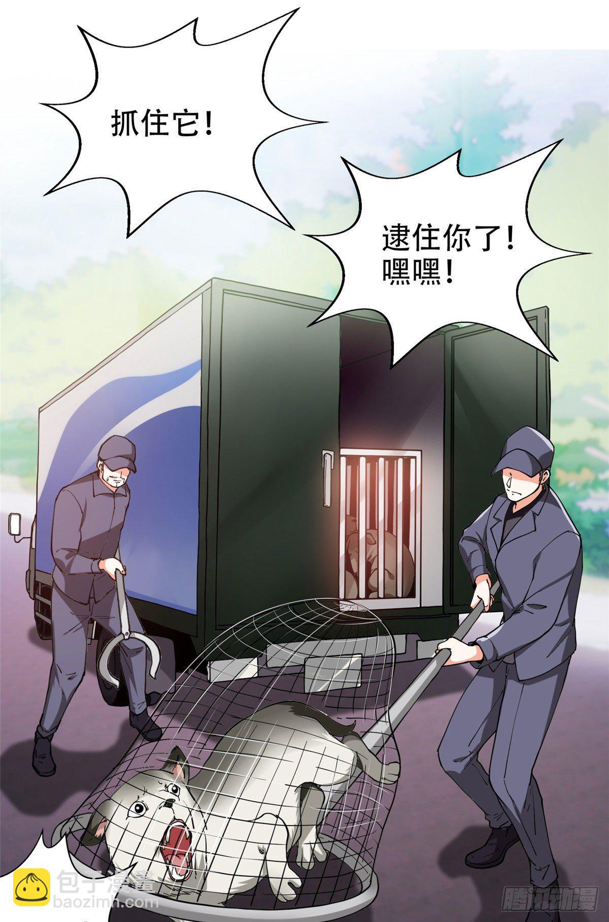 《重生之神级败家子》13 我相信你 第10页