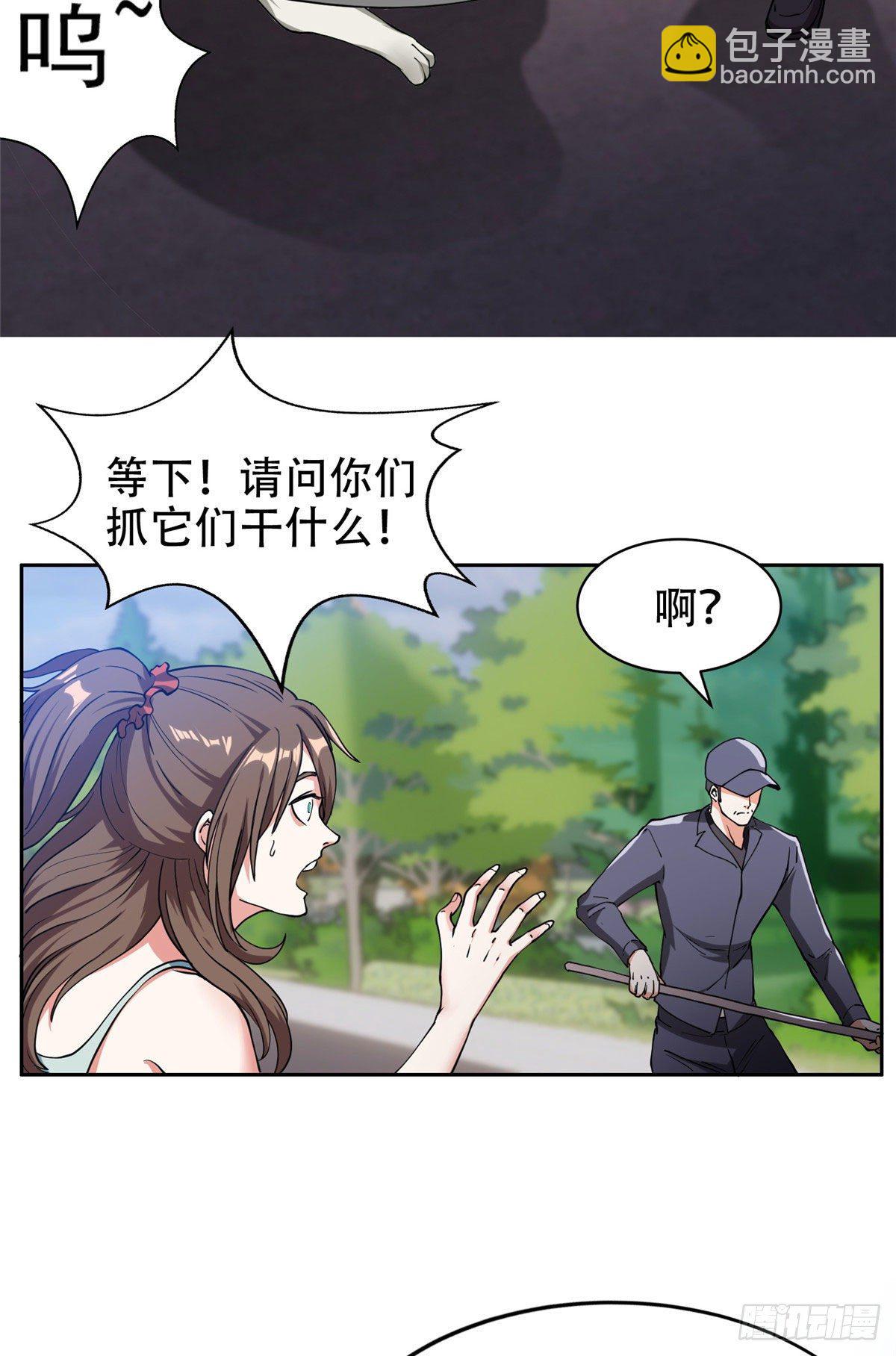 《重生之神级败家子》13 我相信你 第11页