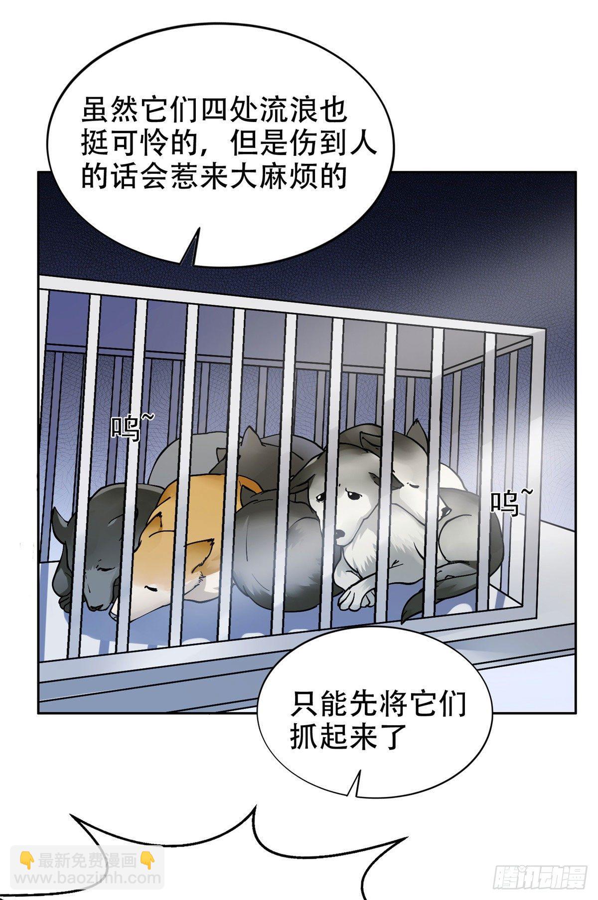 《重生之神级败家子》13 我相信你 第13页