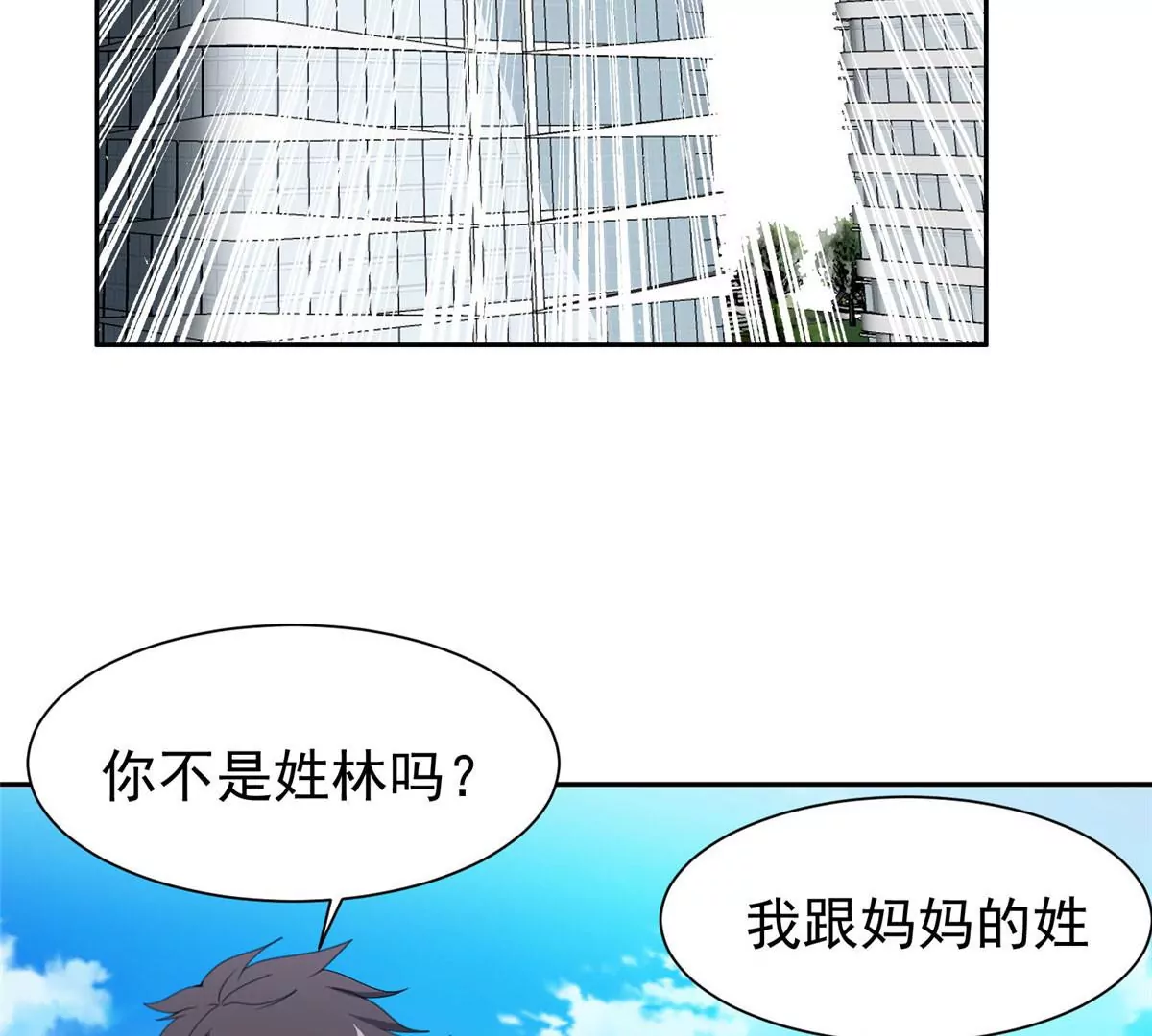 《重生之神级败家子》77 林初音的身世 第17页