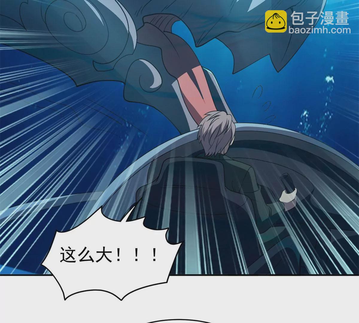 《重生之神级败家子》88 玄武出世 第5页