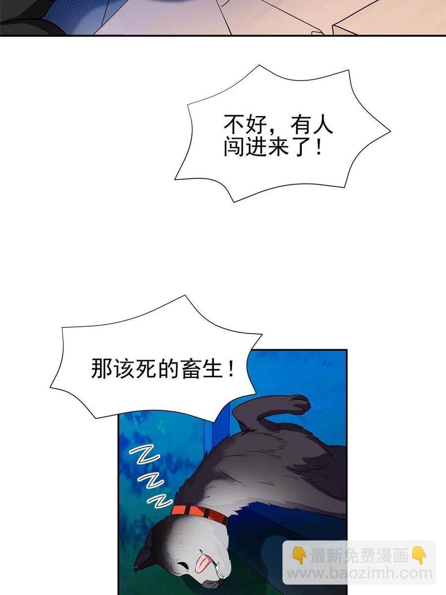 《重生之神级败家子》118 潜入开始 第36页
