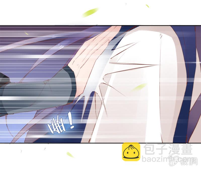 《单挑吧王爷》太玄幻了吧 第13页