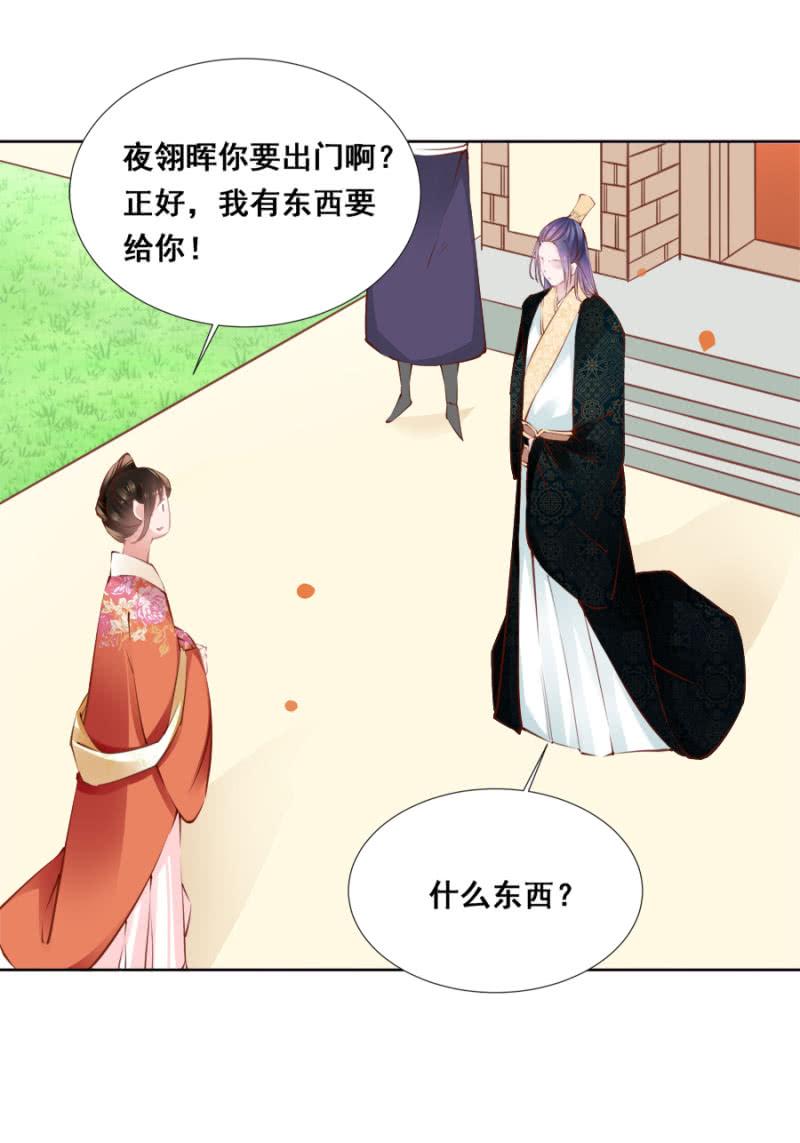 《单挑吧王爷》又竞拍本王 第4页