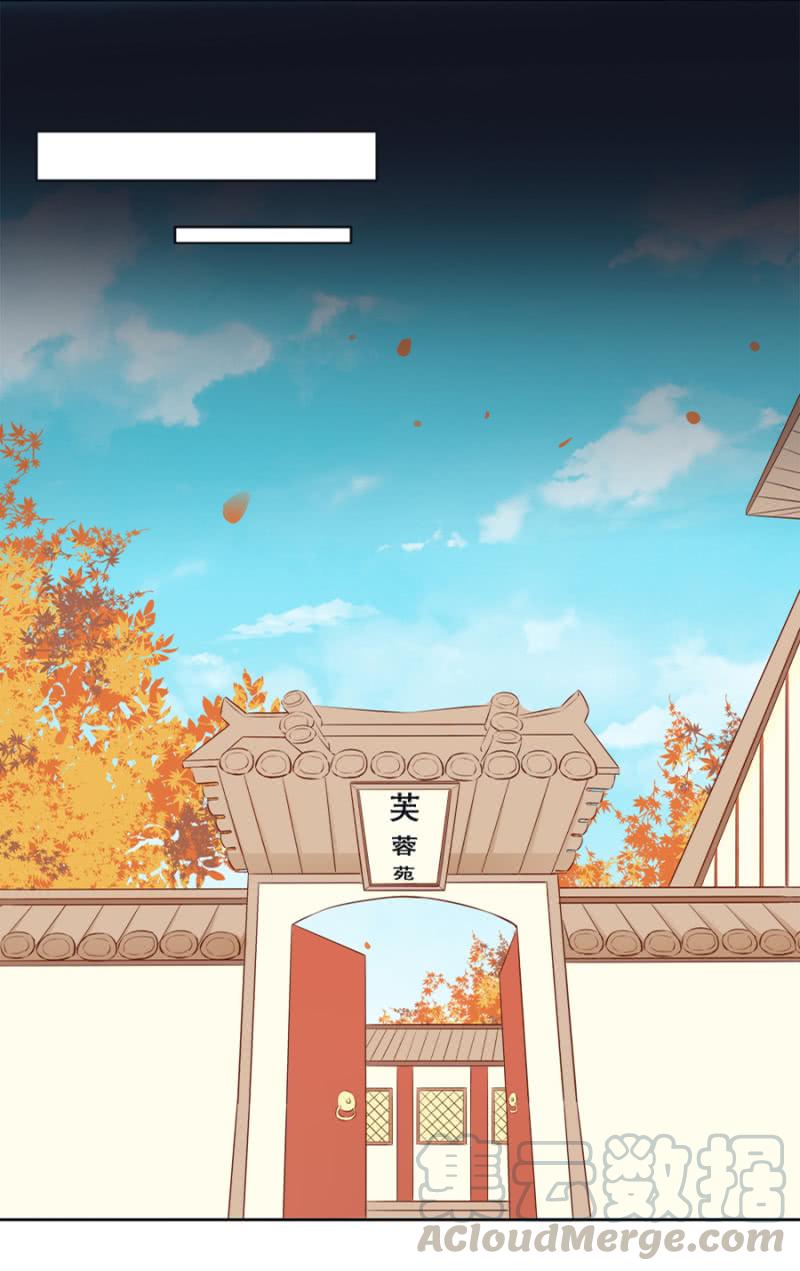 《单挑吧王爷》身价如何？ 第17页