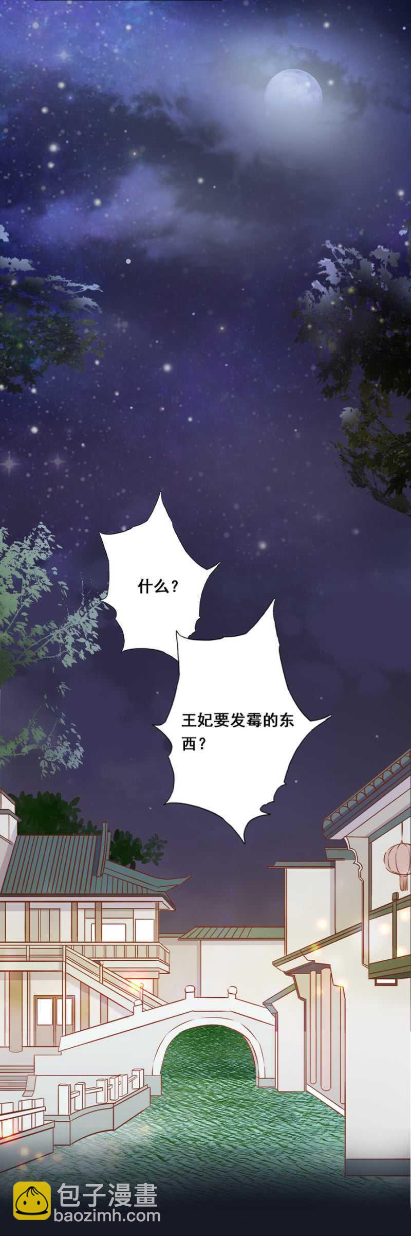 《单挑吧王爷》小算盘 第17页