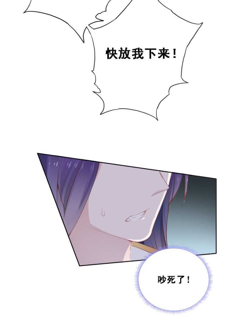 《单挑吧王爷》赵子男，柳如墨 第30页