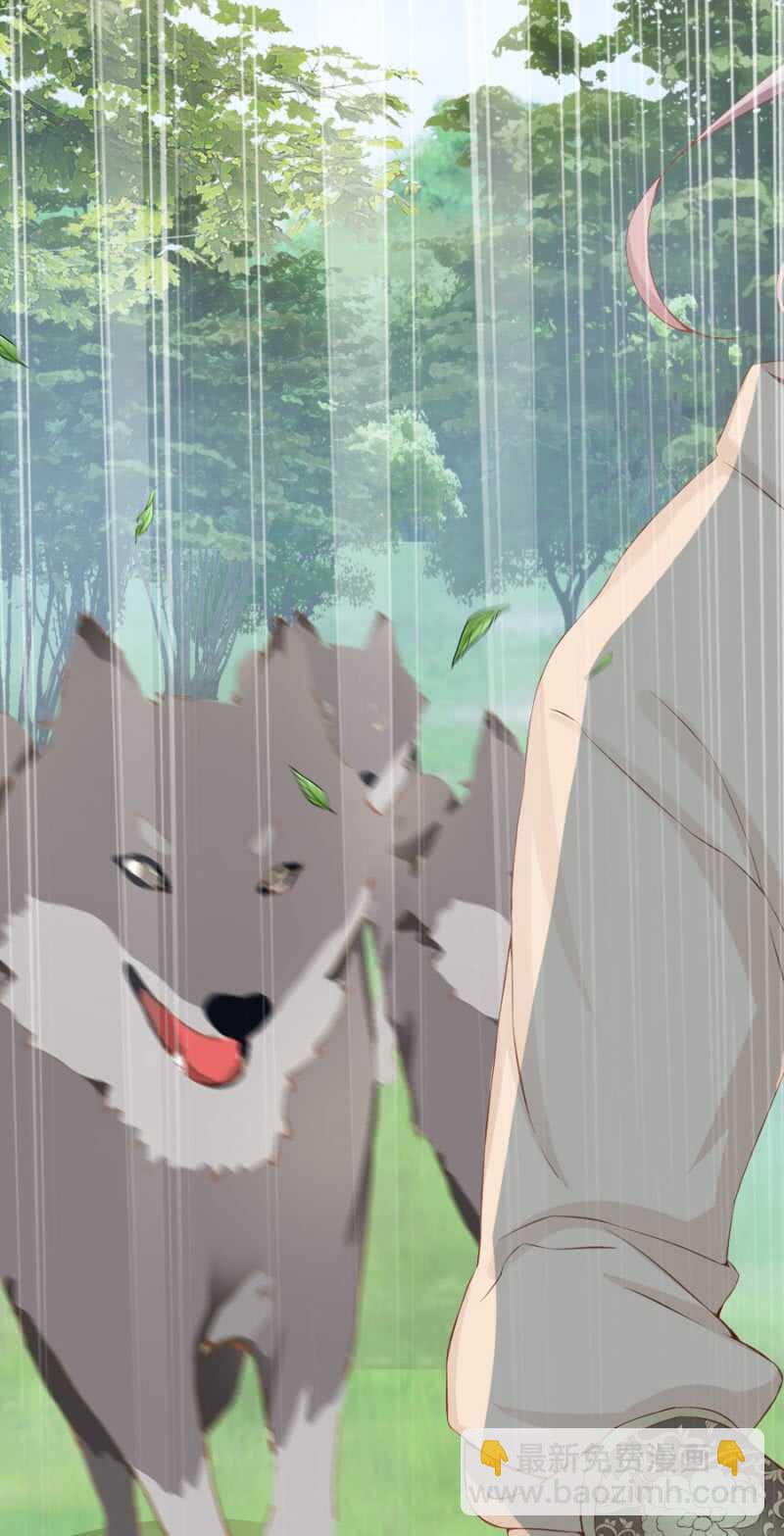 《单挑吧王爷》被算计 第12页