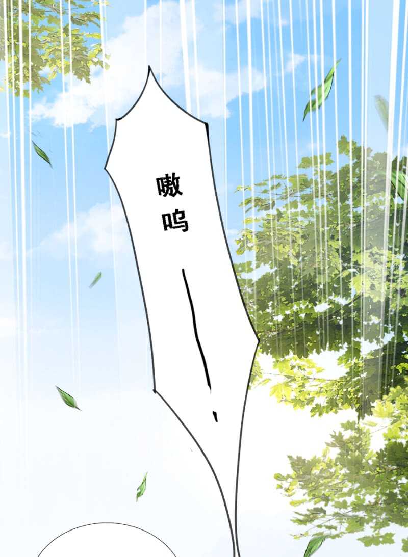 《单挑吧王爷》被算计 第6页