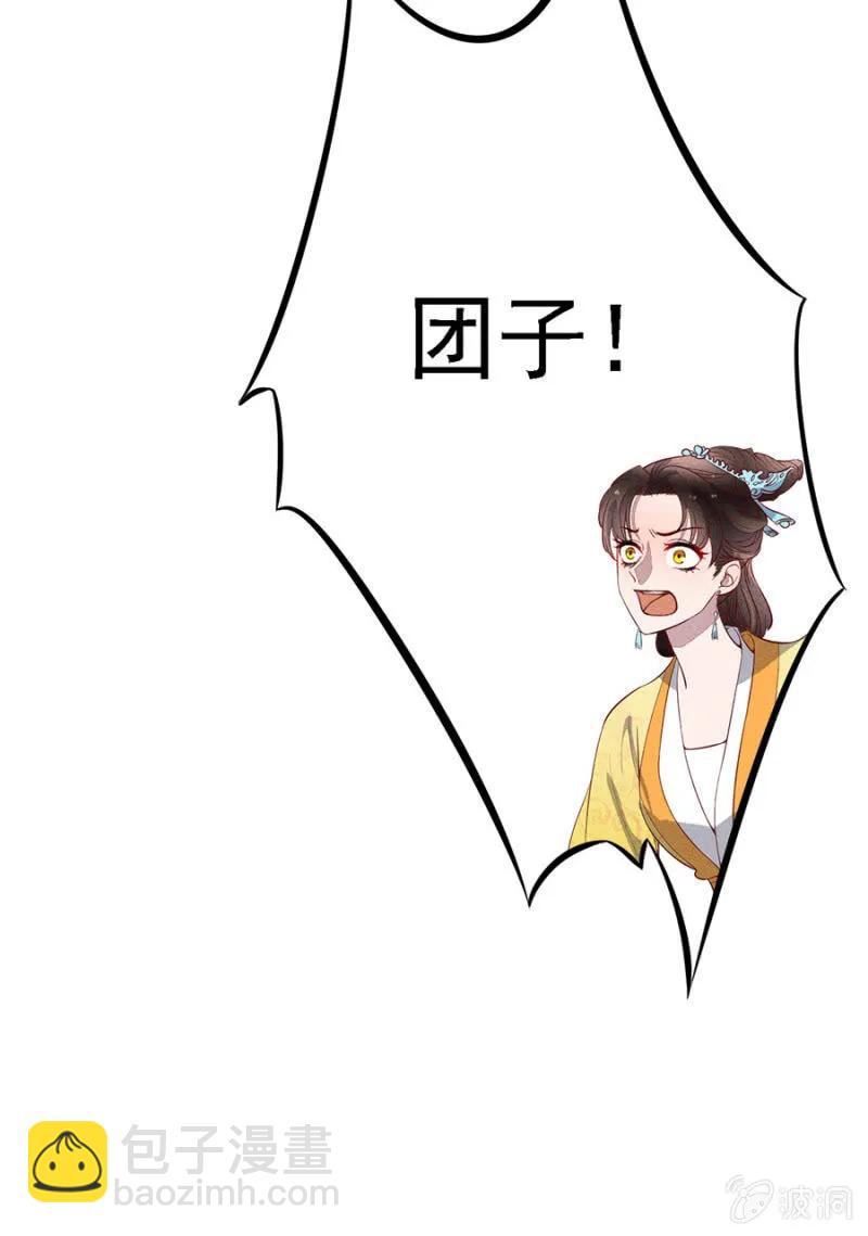 《单挑吧王爷》团子的危机 第29页