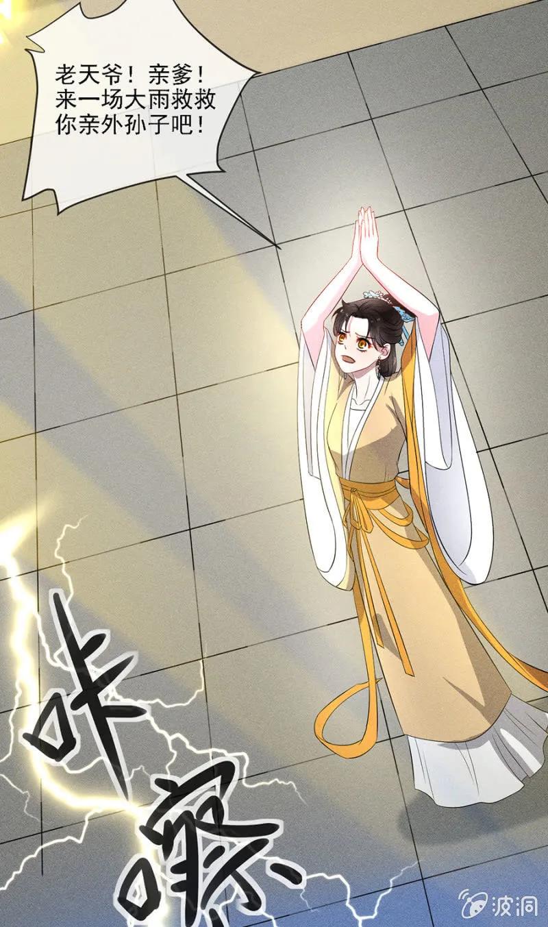 《单挑吧王爷》祈雨 第29页