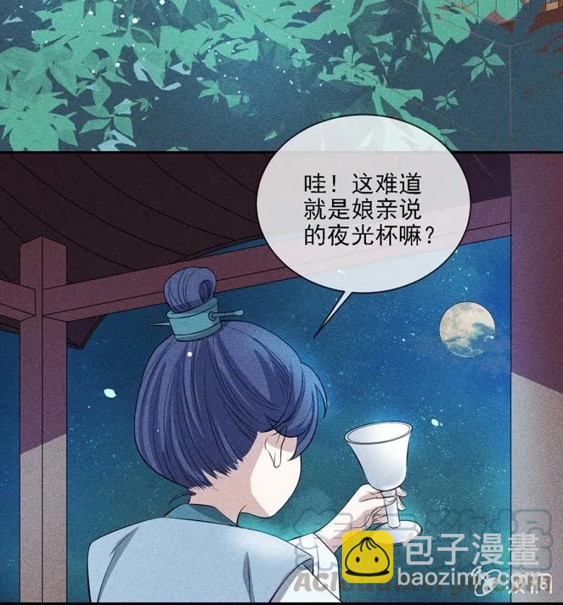 《单挑吧王爷》她的儿子像我 第13页