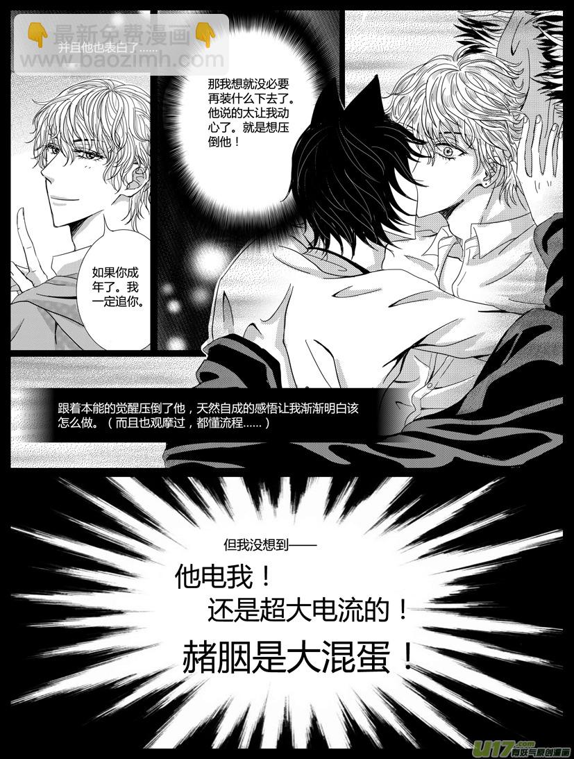 《隐森瑰影》239-244 第2页