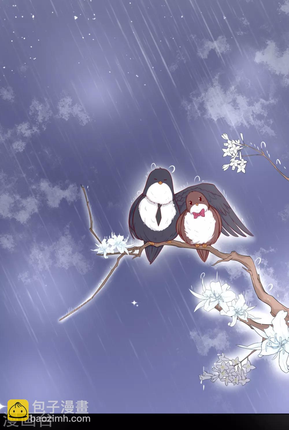 《星动甜妻夏小星》第18话 天选之子的宿命 第13页