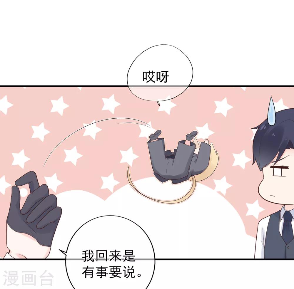 《星动甜妻夏小星》第104话 大小姐的婚讯 第11页