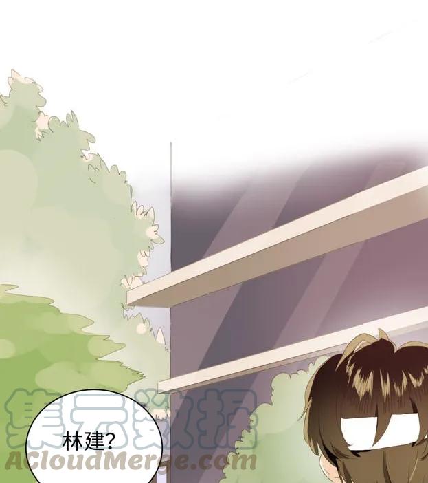 《男装店与“公主殿下”》141 我喜欢你啊！ 第5页
