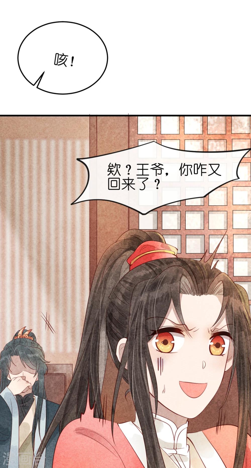 《纨绔王妃要爬墙》第13话 风家公子，风流成性？ 第28页