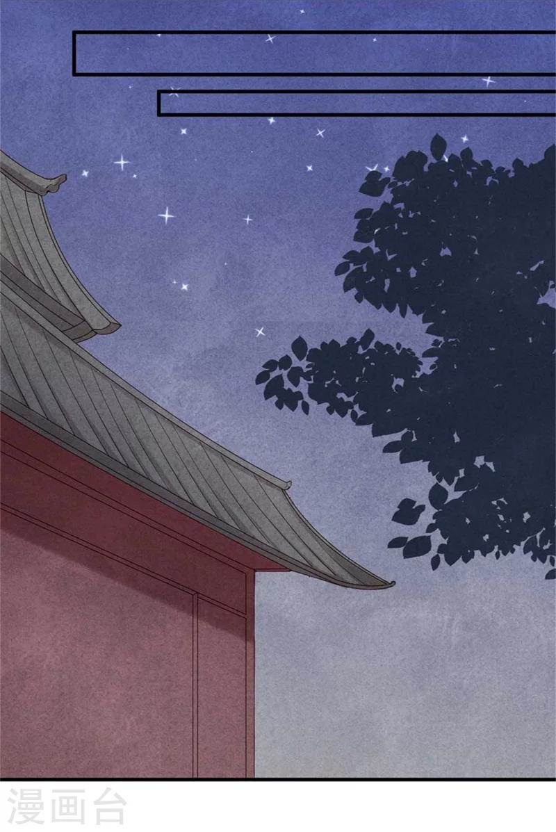 《纨绔王妃要爬墙》第60话 和风清很像的女子 第27页