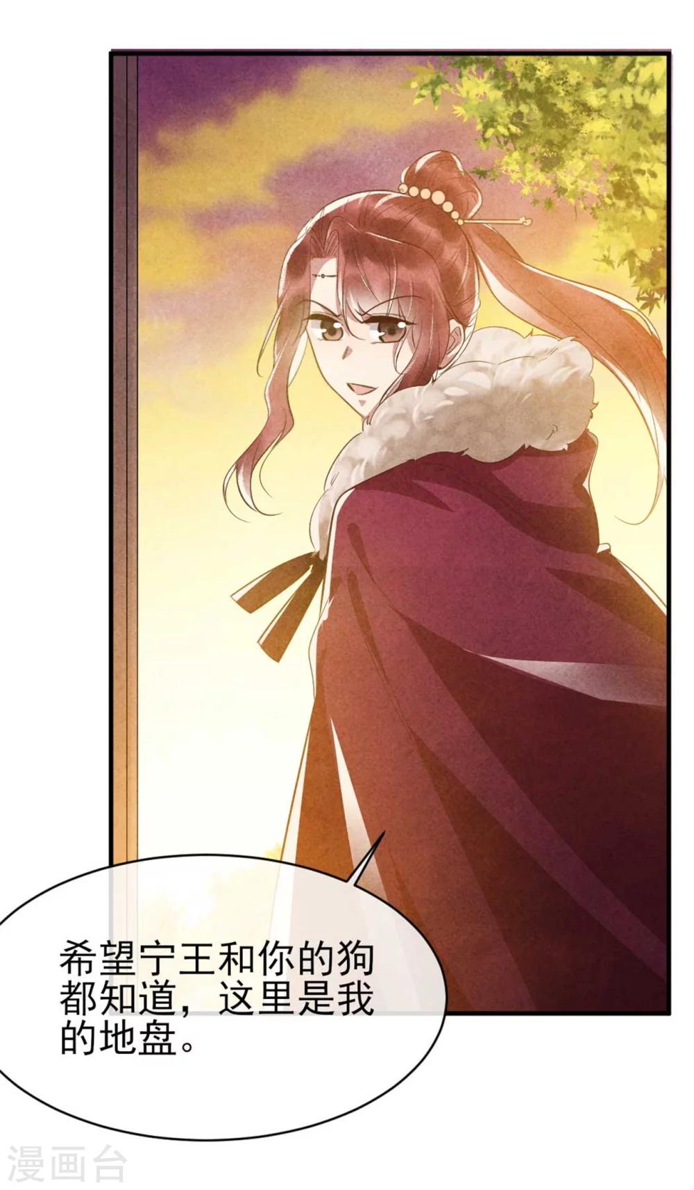 《纨绔王妃要爬墙》第92话 西延镇 第13页