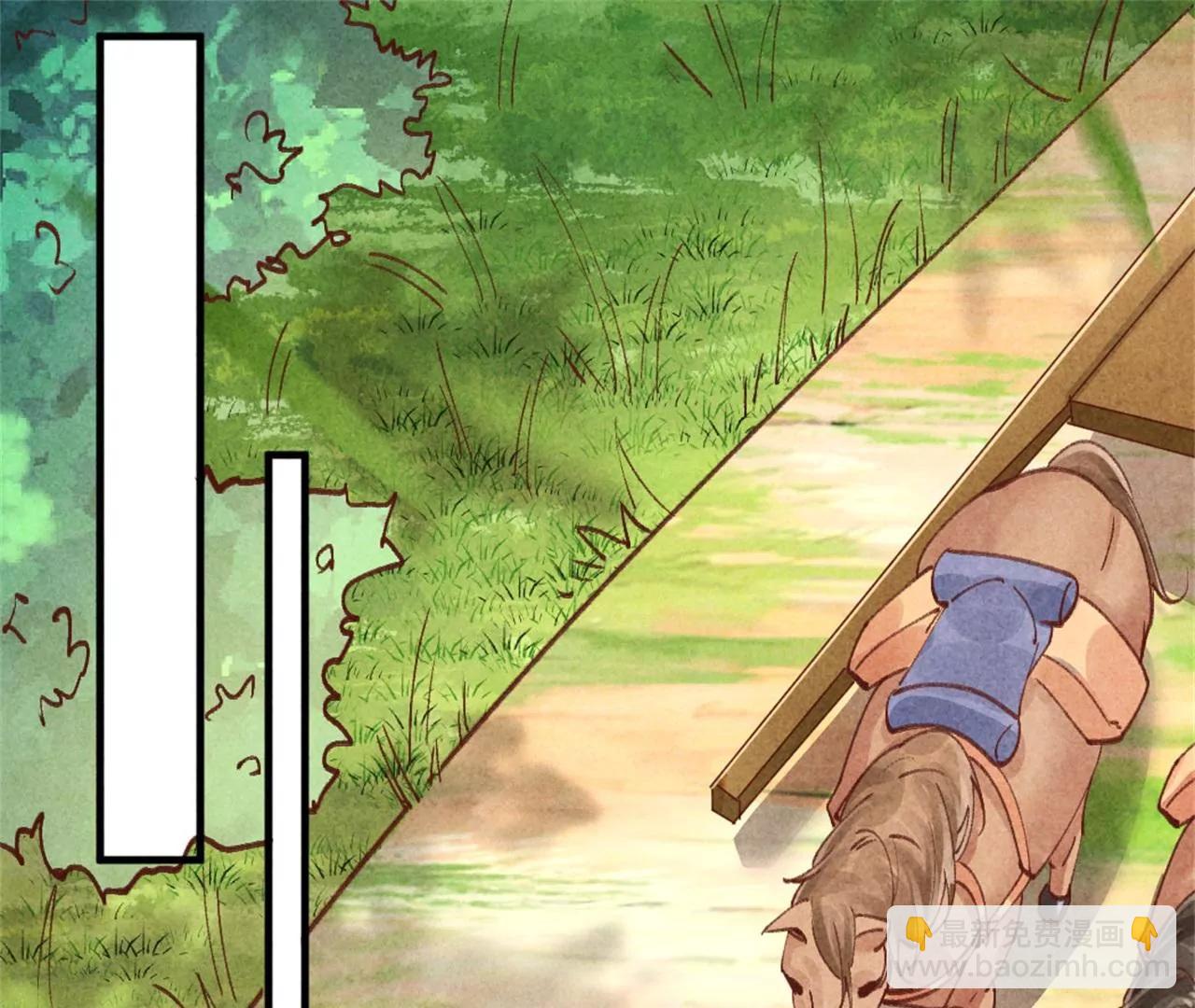 《纨绔王妃要爬墙》北凉公主？ 第27页
