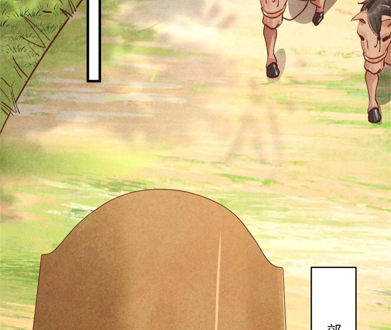 《纨绔王妃要爬墙》北凉公主？ 第28页