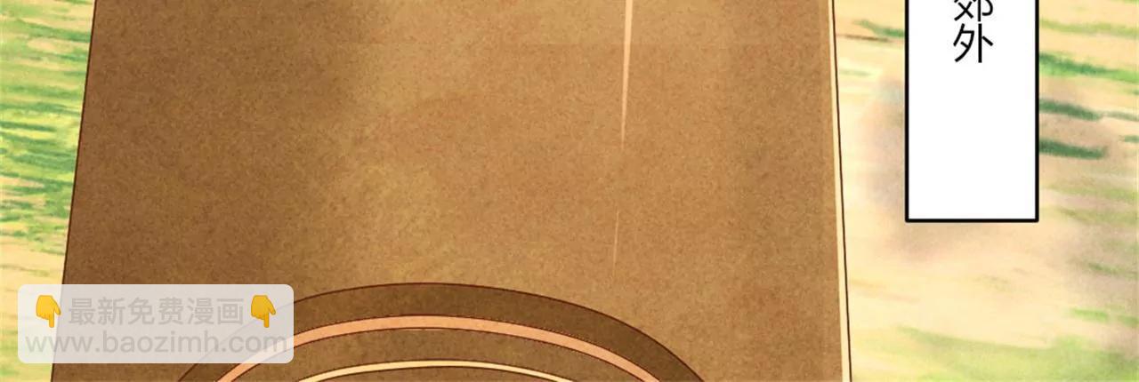 《纨绔王妃要爬墙》北凉公主？ 第29页