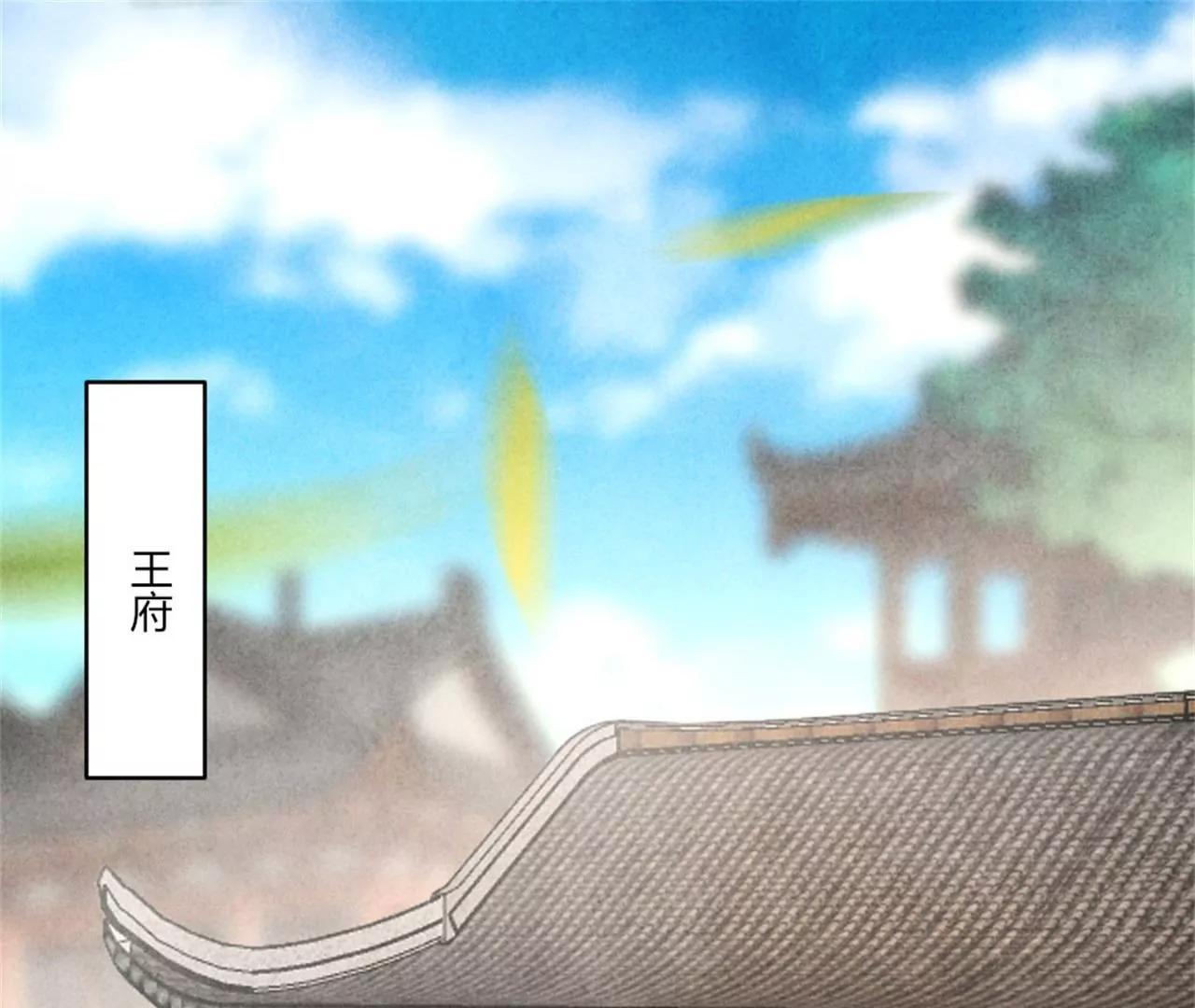 《纨绔王妃要爬墙》188 和亲 第5页