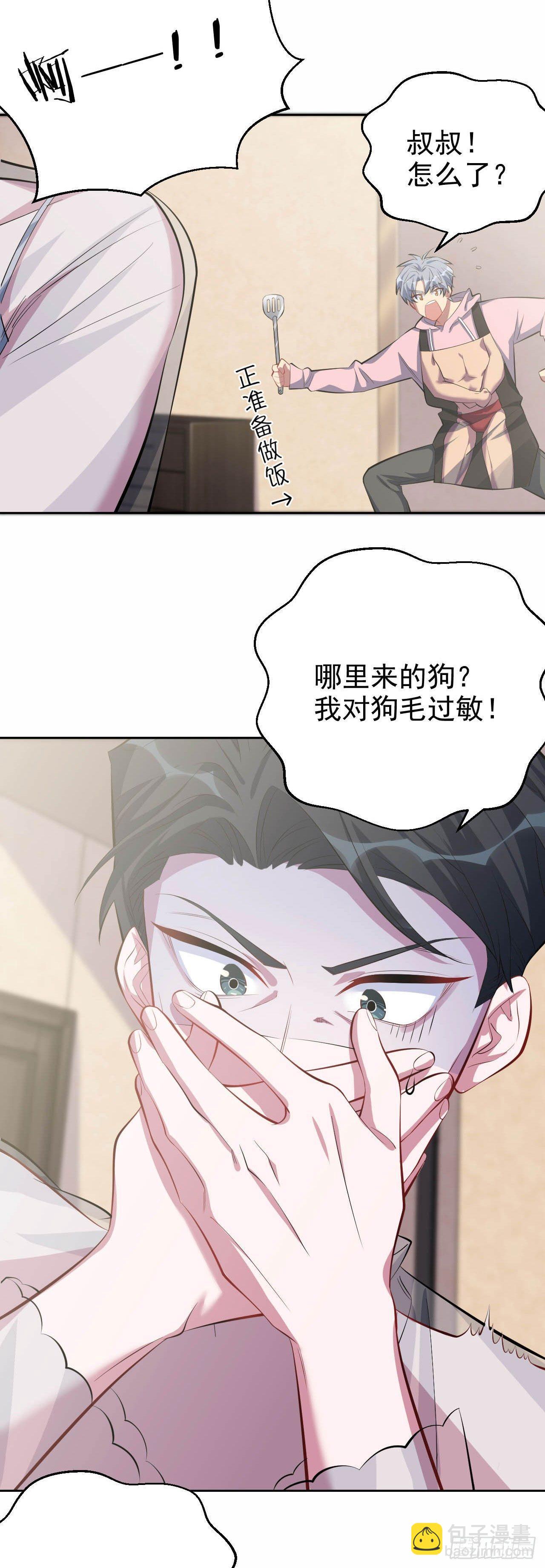 《岳父大人是老婆》25.人间微型自走兵器·球 第5页