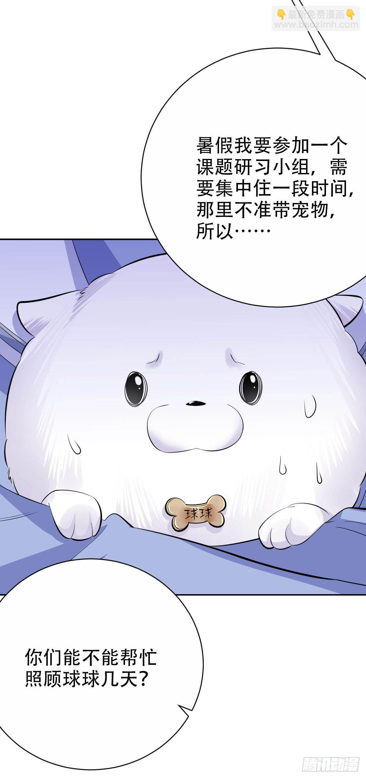 《岳父大人是老婆》26.宠物终结者 第12页