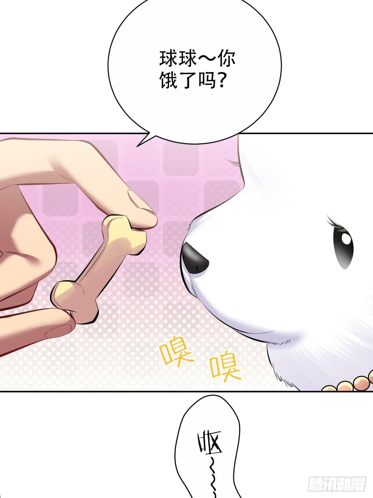 《岳父大人是老婆》28.育儿矛盾大爆发！ 第16页