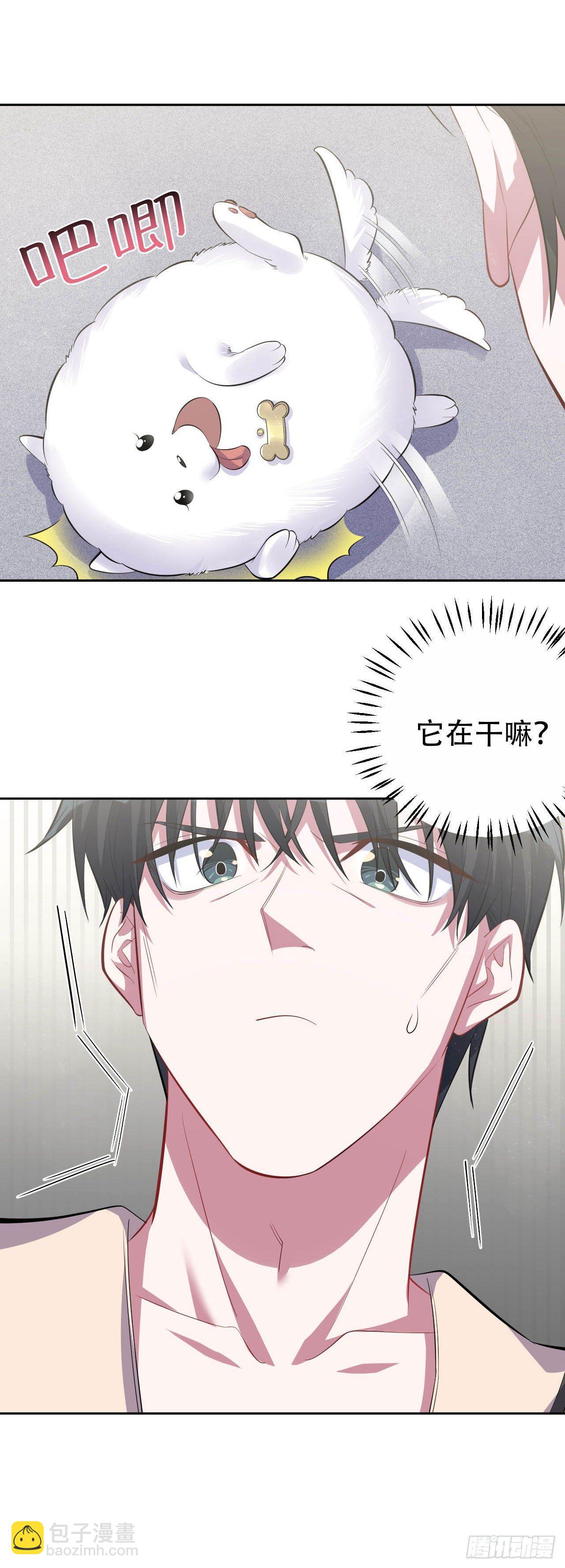 《岳父大人是老婆》27.球球的逆袭！ 第16页