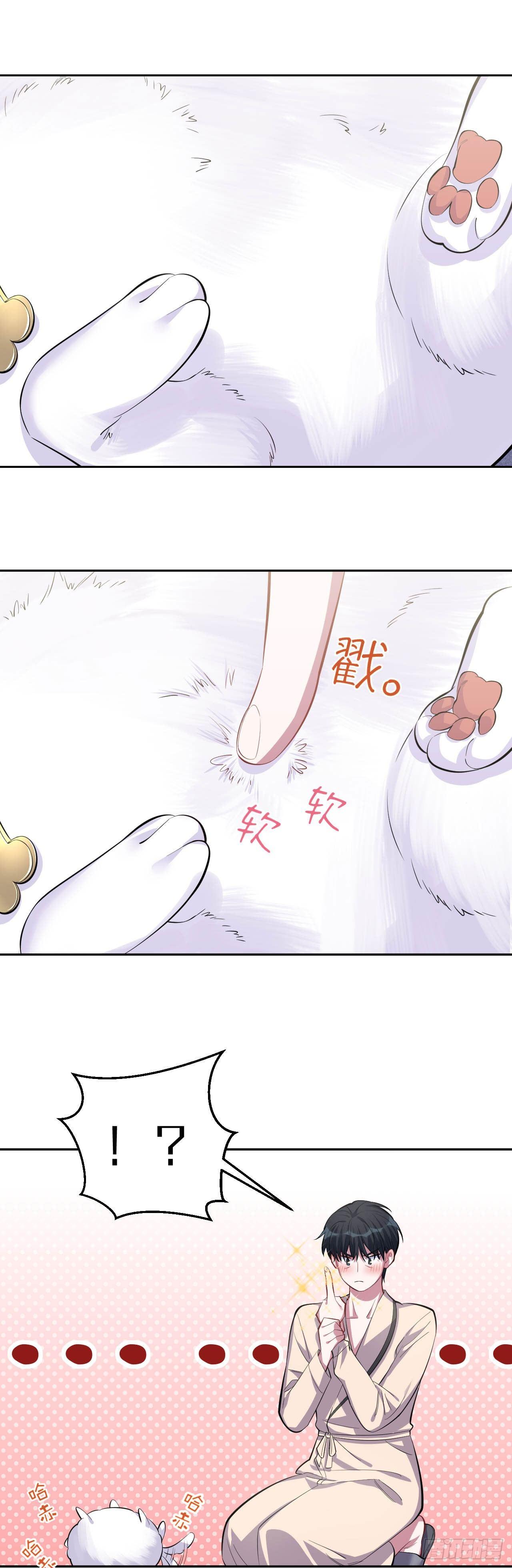 《岳父大人是老婆》27.球球的逆袭！ 第17页