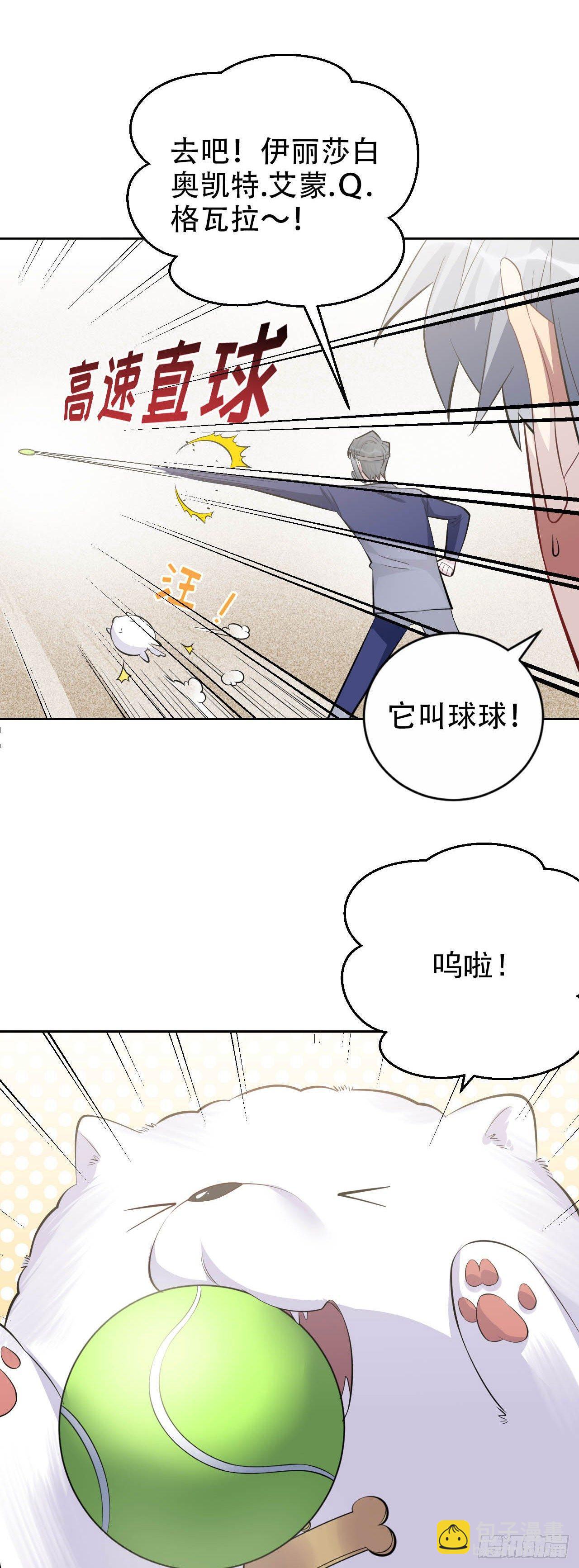《岳父大人是老婆》27.球球的逆袭！ 第26页