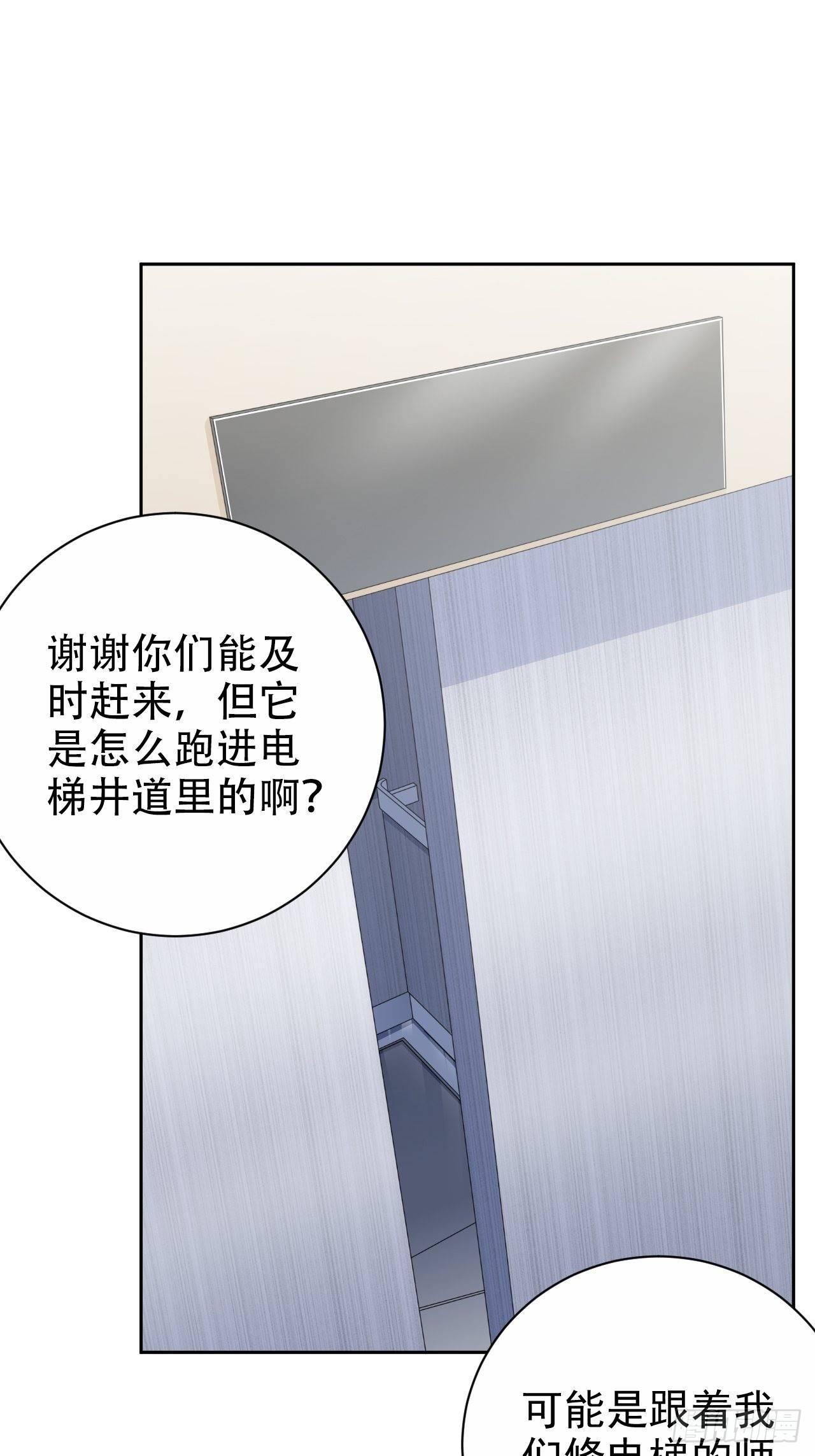 《岳父大人是老婆》35.我们跑吧 第2页