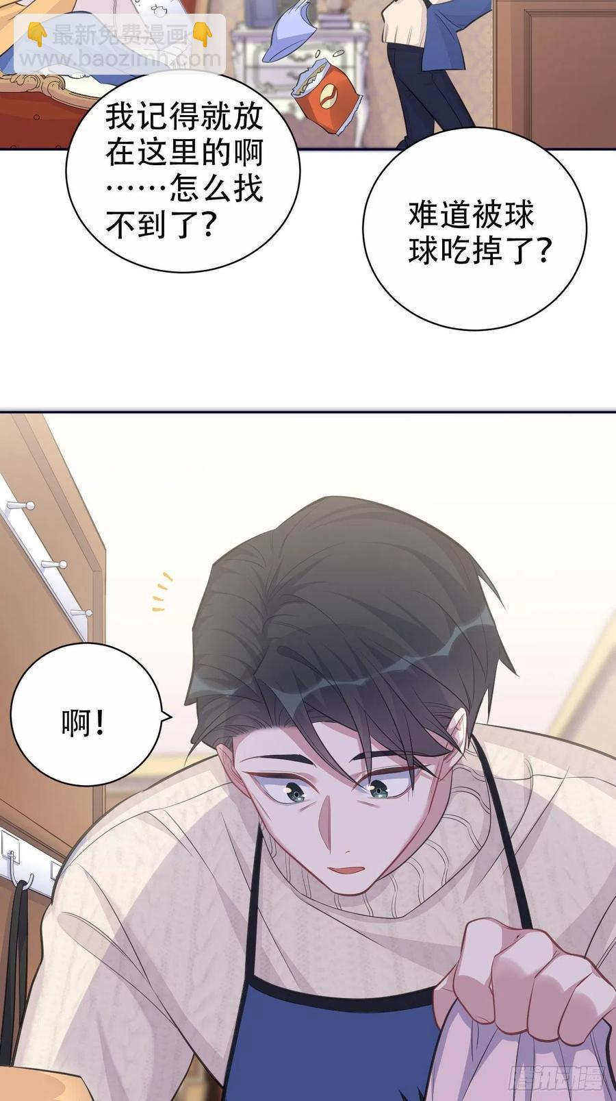 《岳父大人是老婆》70.19岁的梦 第8页