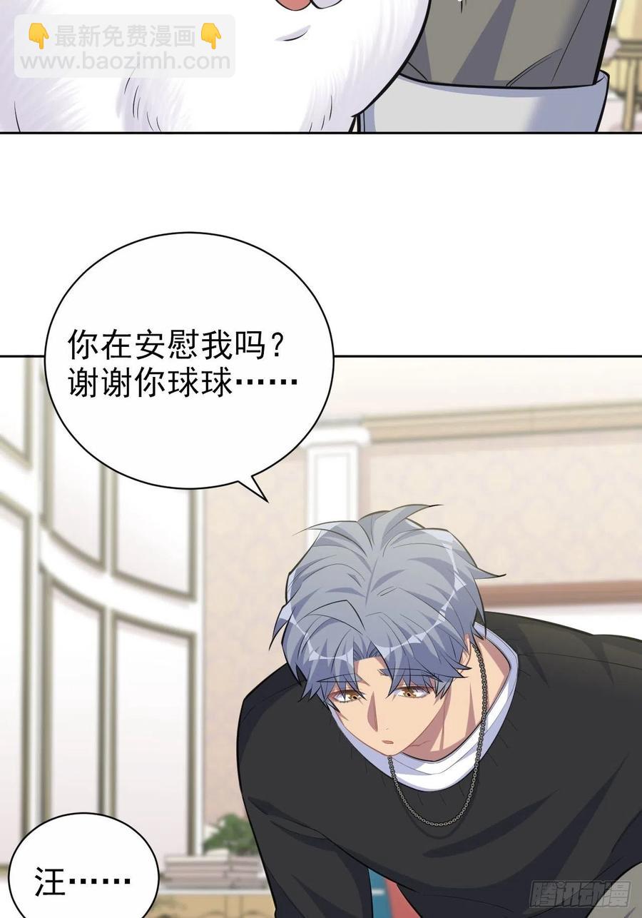 《岳父大人是老婆》94.甄好被替代？ 第29页