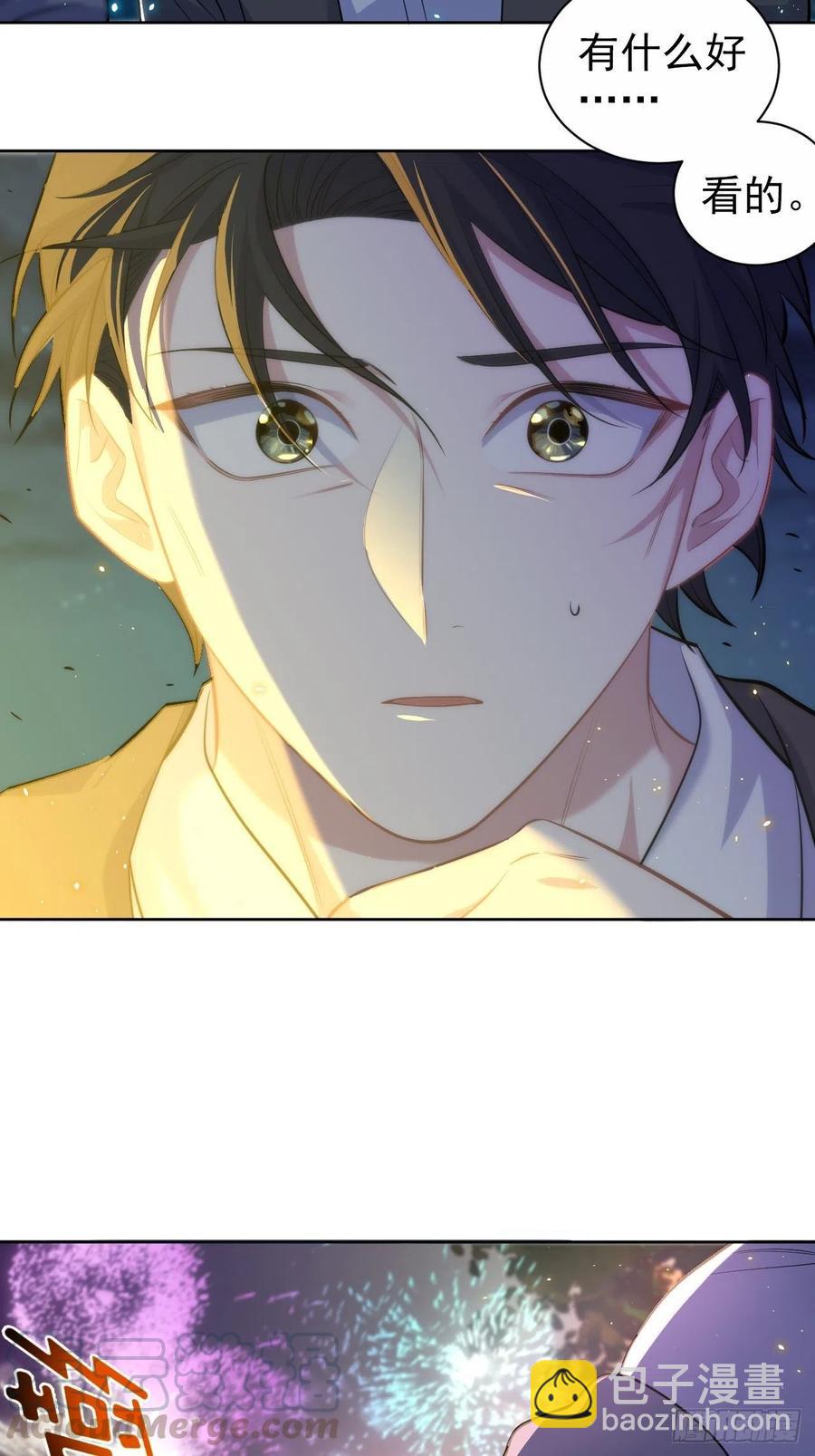 《岳父大人是老婆》106.烟花下的两人 第37页