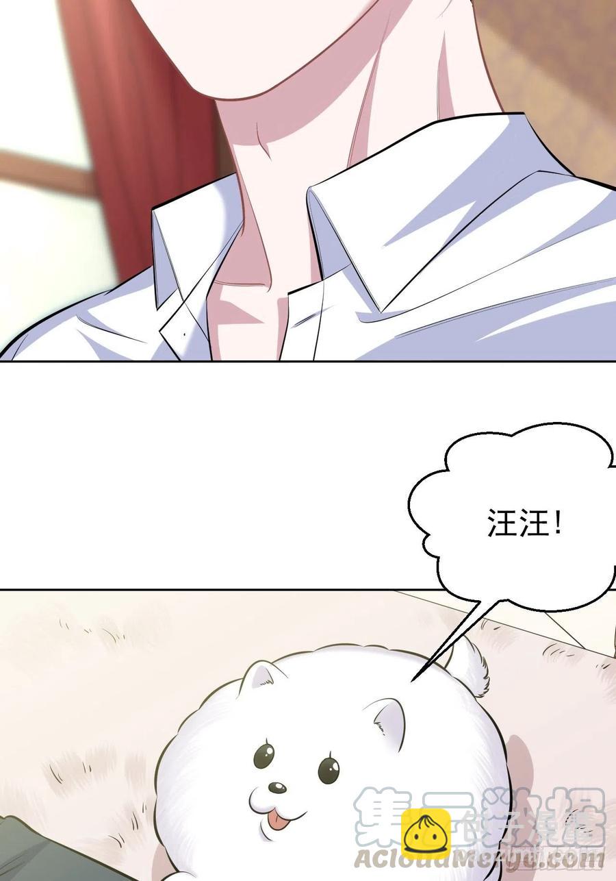 《岳父大人是老婆》108.再见噗噗 第37页
