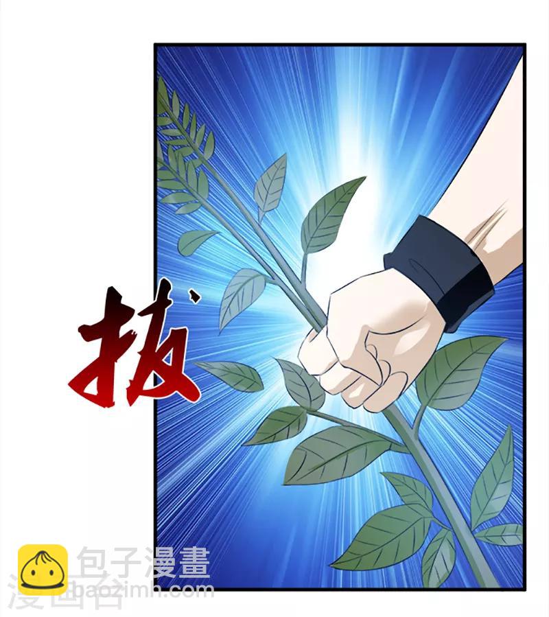 《桃运小神农》第25话 好在提前准备 第3页
