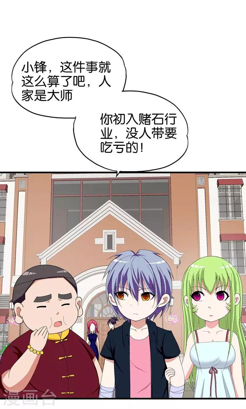 《桃运小神农》第152话 赌石 第4页