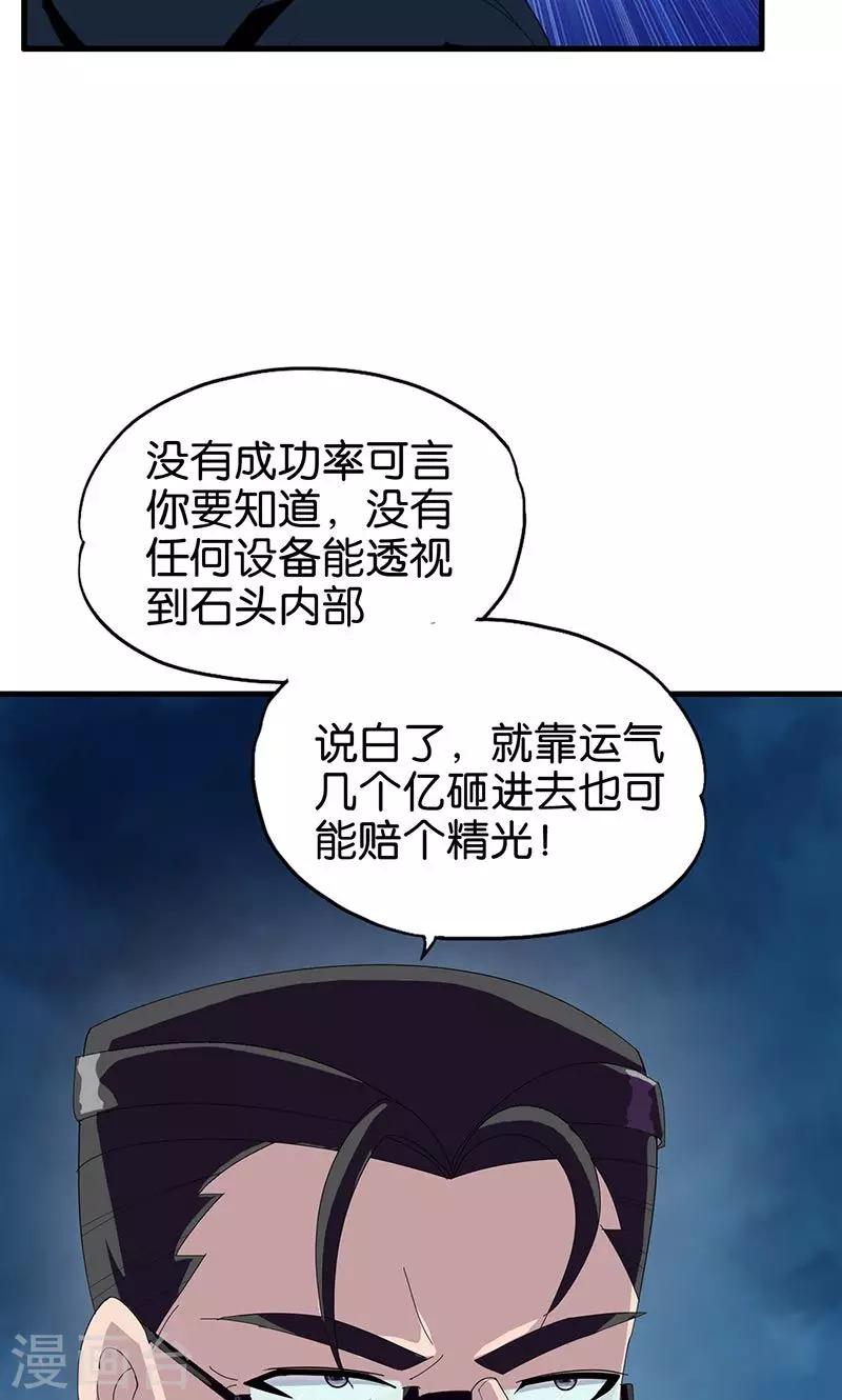 《桃运小神农》第152话 赌石 第6页