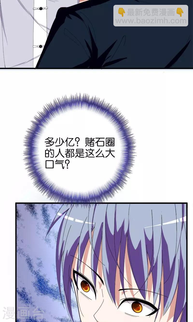 《桃运小神农》第152话 赌石 第9页