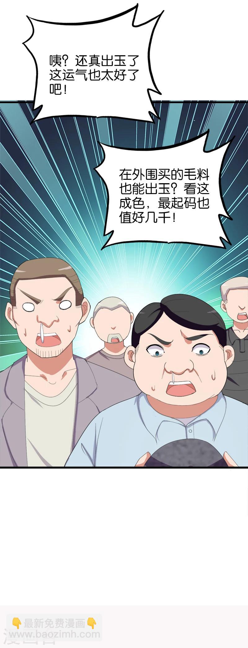 《桃运小神农》第166话 解石 第12页