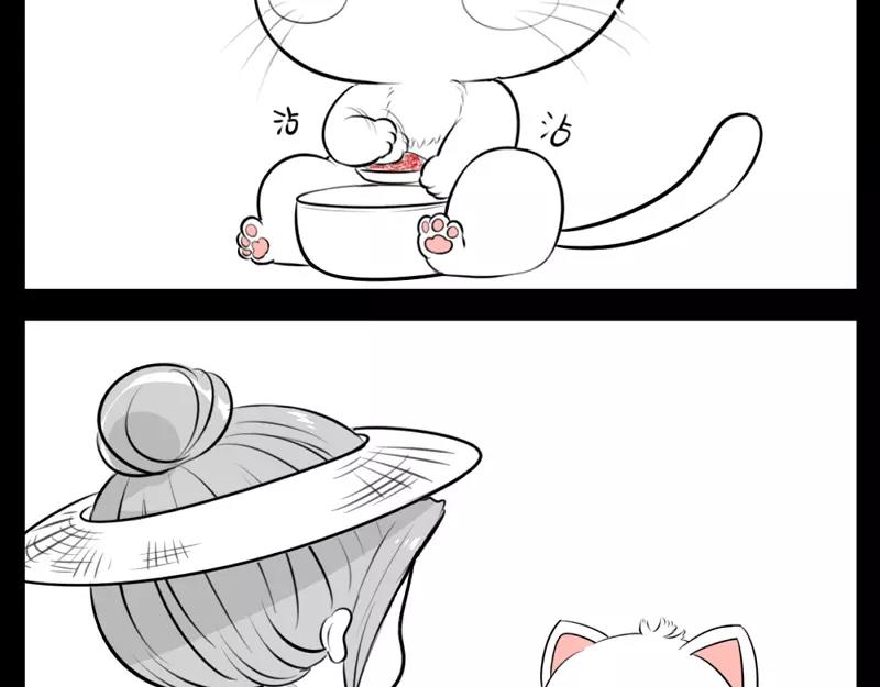 《诶？捡到一个小僵尸》番外 小猫妖 第7页