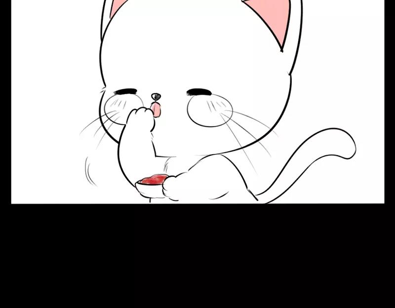 《诶？捡到一个小僵尸（第2季）》番外 小猫妖 第15页
